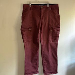 EXCELLENT CONDITION WOMEN’S DEMOCRACY “Ab”SOLUTION DARK MAUVE CARGO JEANS 14W